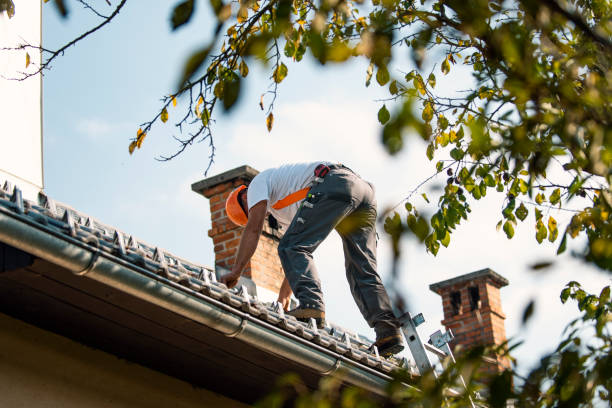 Best Roof Waterproofing Services  in Theresa, WI
