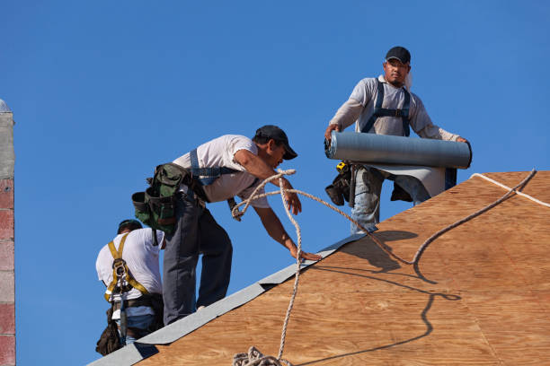 Best Metal Roofing Contractor  in Theresa, WI