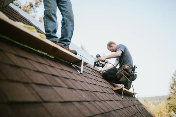 Best Local Roofing Companies  in Theresa, WI